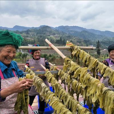 彝胞酸菜彝族腌菜盐菜四川马边特产农家手工自制老坛酸菜鱼煮汤500g(2